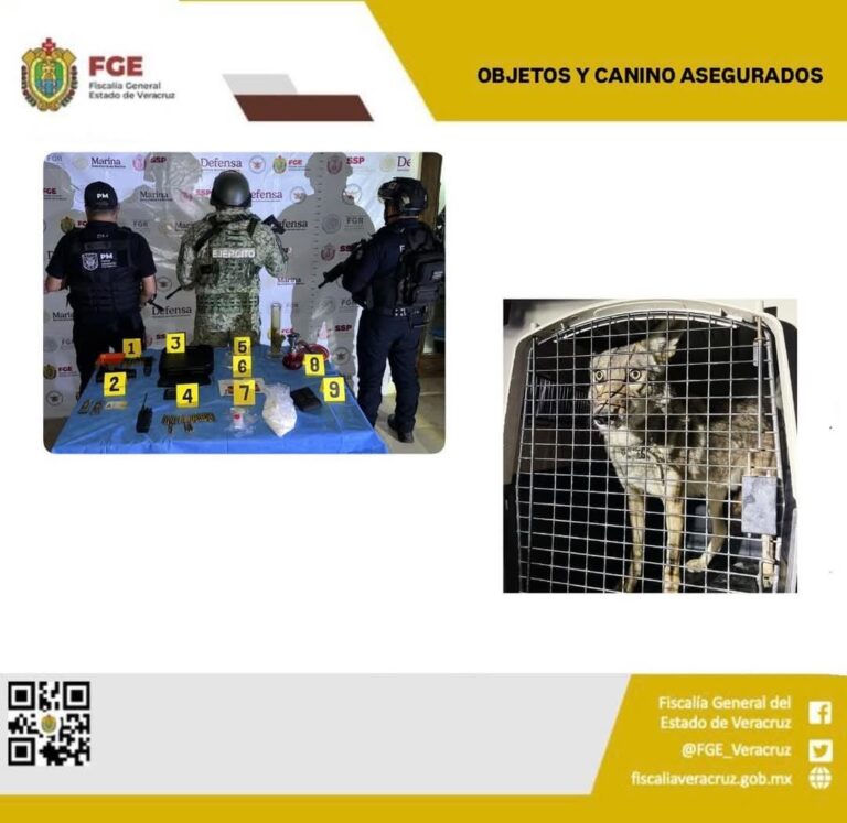 OBJETOS Y ANIMALES ASEGURADOS EN OPERATIVO DE CATEO CON FUERZAS FEDERALES Y ESTATALES EN CÓRDOBA