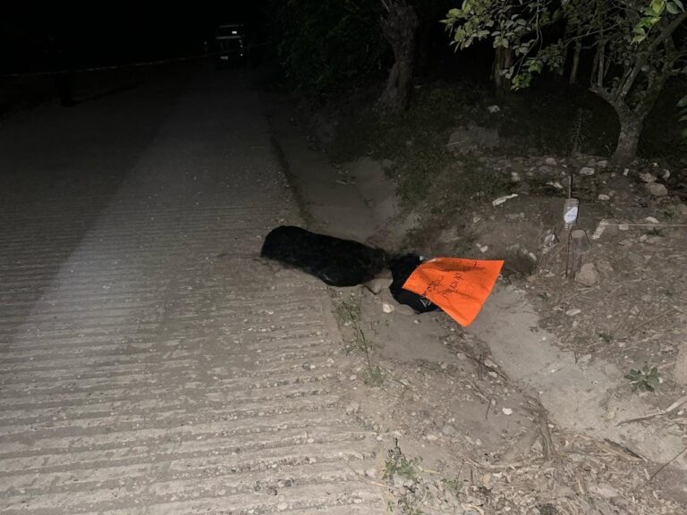 LOCALIZAN D3S/M3M/BRA/D0 Y EMB0LSAD0 EN CARRILLO PUERTO LÍMITES CON CUITLÁHUAC.