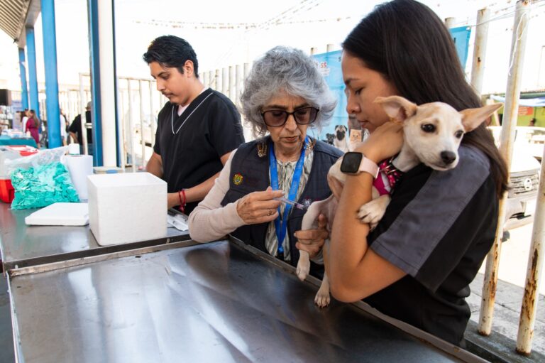 Centro de Bienestar Animal continúa dando orientación médica y aplicando vacunas, por el bien de los animales