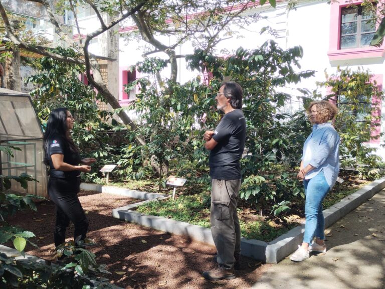 Córdoba en proceso de certificación como Turismo Sostenible