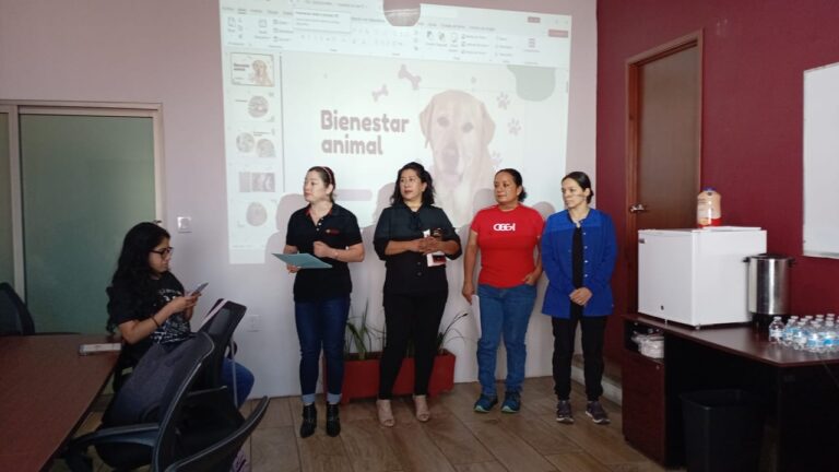 Capacitan al Consejo Consultivo de Niñas, Niños y Adolescentes sobre el cuidado de los animales
