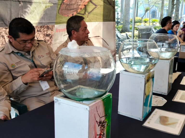 Comenzarán medidas preventivas contra el mosco transmisor del dengue