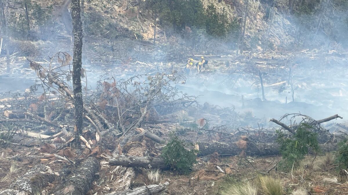 Controlado en su totalidad incendio en Calcahualco