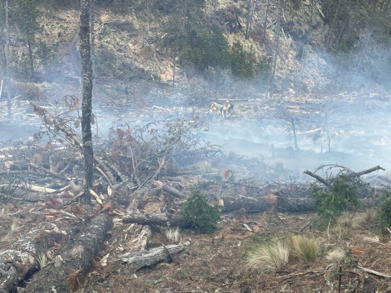 Controlado en su totalidad incendio en Calcahualco