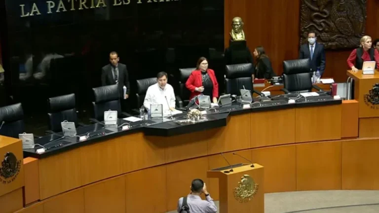 Senado aprueba apoyo mensual para jóvenes desempleados y sin estudios