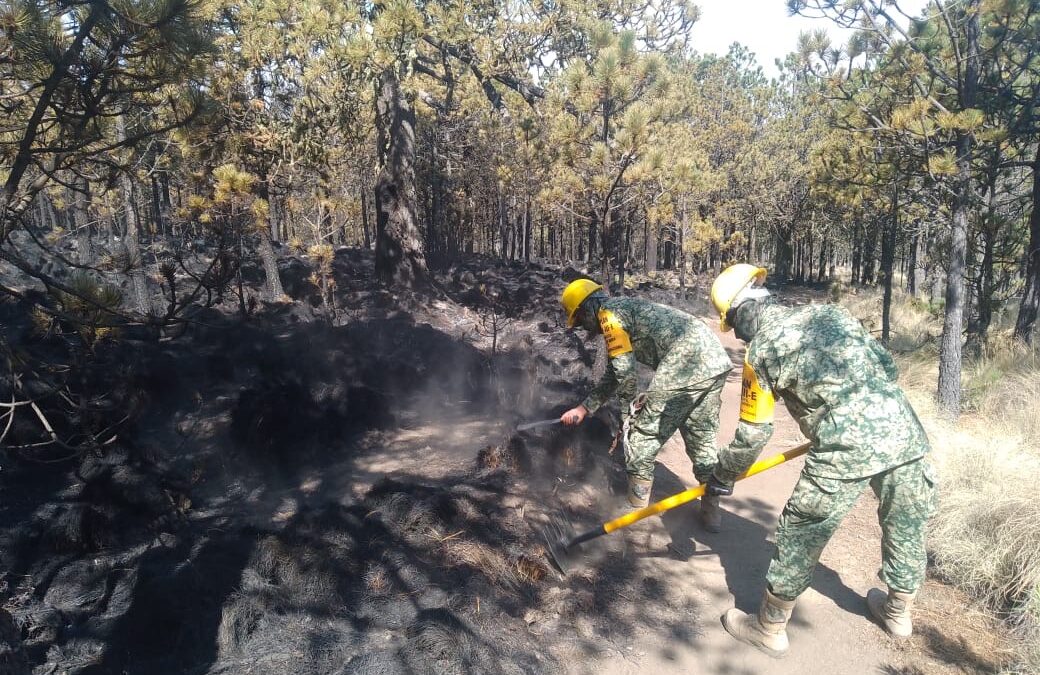DEFENSA en coordinación con Gobierno del Estado, Protección Civil y CONAFOR, refuerzan los apoyos y trabajos para combatir el incendio en el Cofre de Perote, Veracruz.