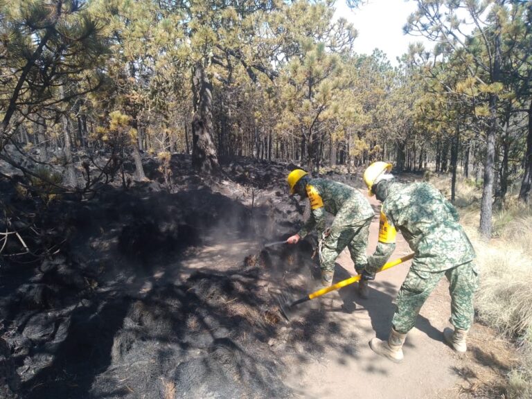 DEFENSA en coordinación con Gobierno del Estado, Protección Civil y CONAFOR, refuerzan los apoyos y trabajos para combatir el incendio en el Cofre de Perote, Veracruz.