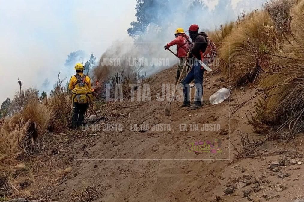 Liquidan incendio en el Parque Nacional Pico de Orizaba