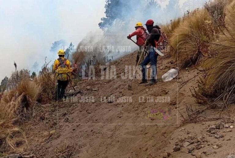 Liquidan incendio en el Parque Nacional Pico de Orizaba