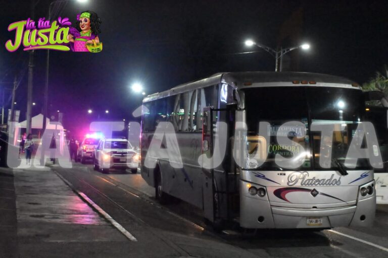 INTENTAN ASALTAR AUTOBÚS PLATEADO SOBRE LA AUTOPISTA 150D CÓRDOBA- ORIZABA.