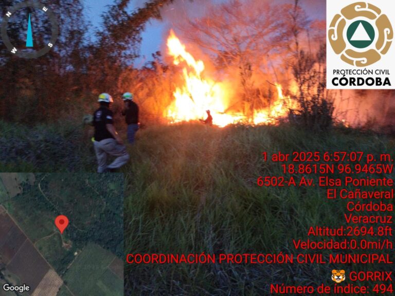 Trabaja PC Córdoba para controlar incendios en 20 de noviembre y San José de Tapia