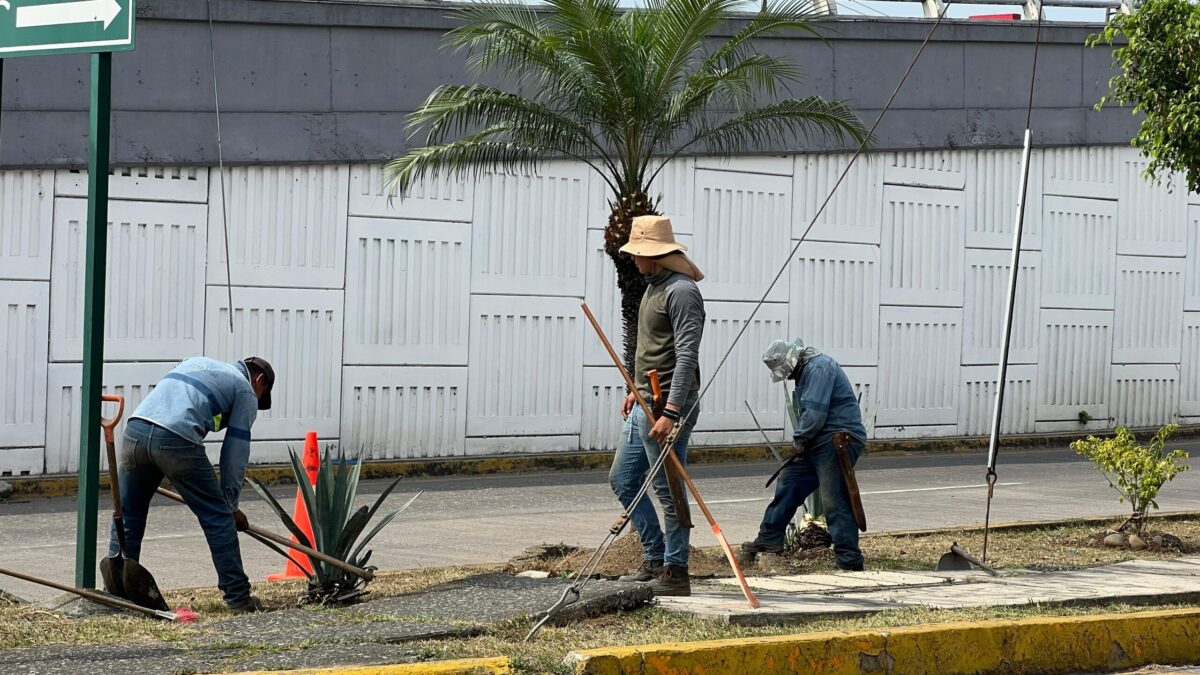 Refuerza Parques y Jardines cuidados a áreas verdes en temporada de calor.
