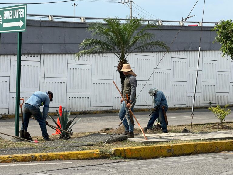 Refuerza Parques y Jardines cuidados a áreas verdes en temporada de calor.