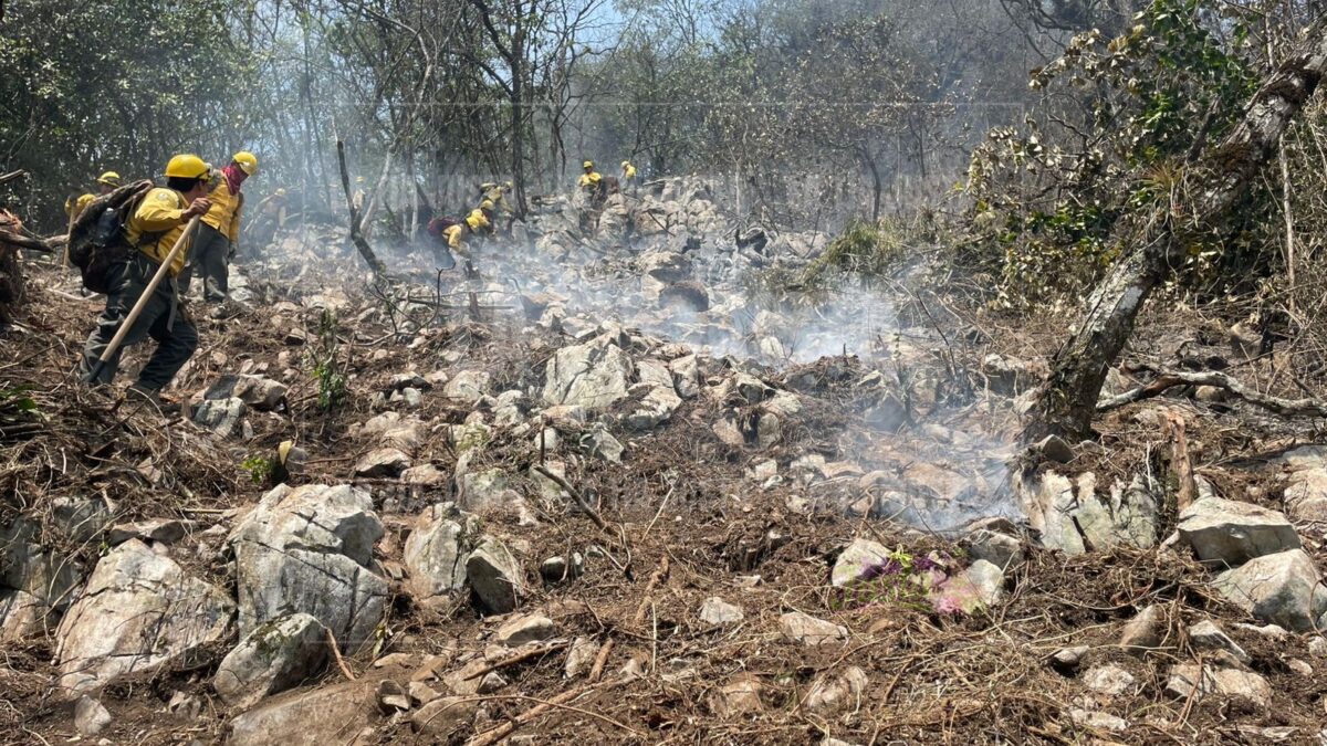 Controlan brigadas incendio en Huiloapan