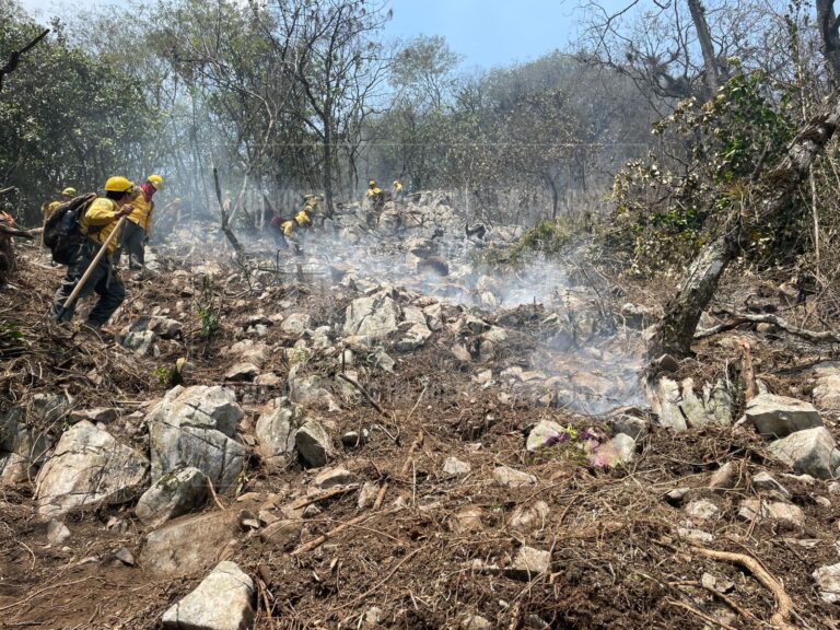 Controlan brigadas incendio en Huiloapan