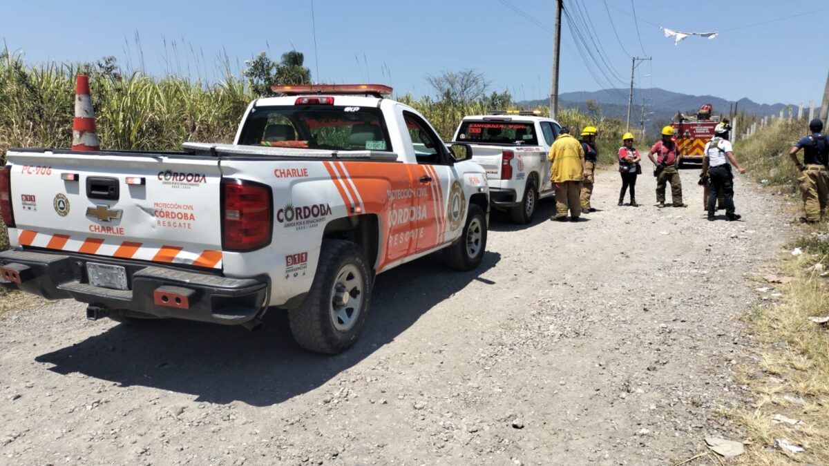 Exhorta PC a no realizar quema de hojarasca para evitar incendios