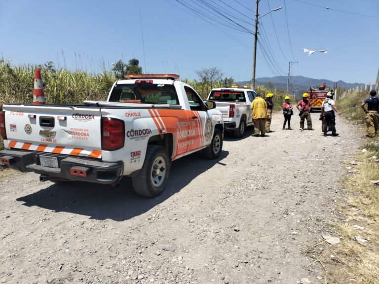Exhorta PC a no realizar quema de hojarasca para evitar incendios