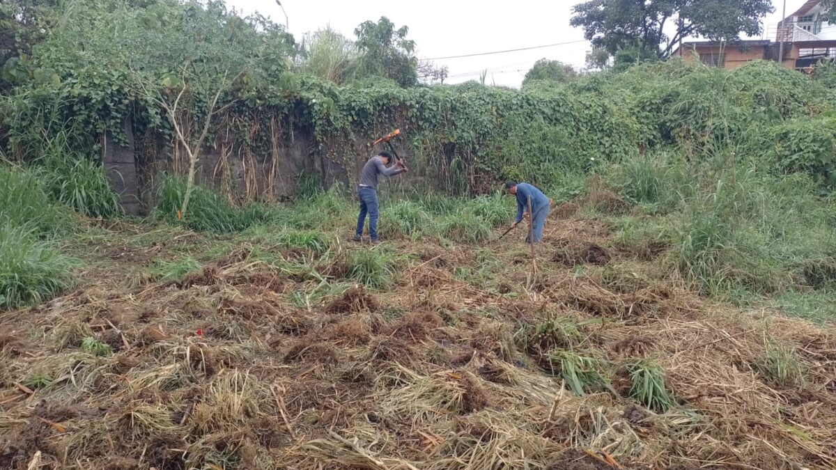 Invitan a mantener áreas verdes libres de desechos