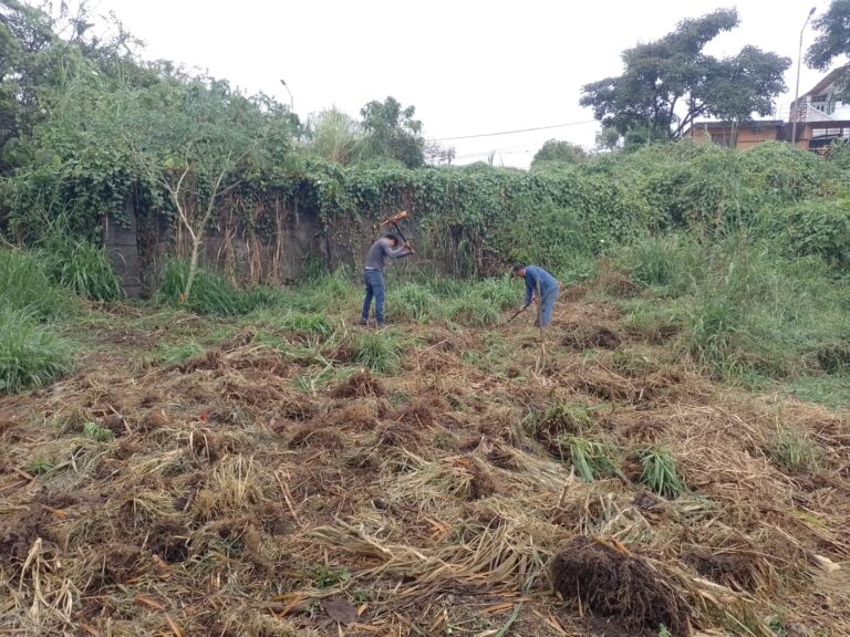 Invitan a mantener áreas verdes libres de desechos