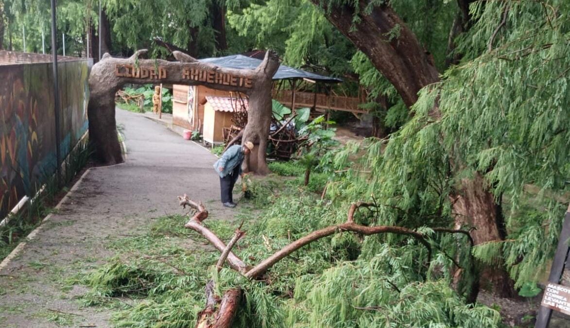 Emite Protección Civil llamado preventivo por riesgos en la Ciudad de los Ahuehuetes