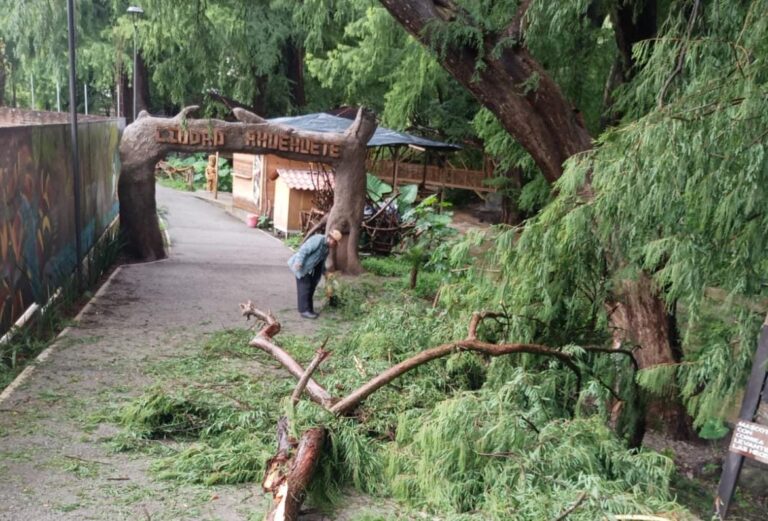 Emite Protección Civil llamado preventivo por riesgos en la Ciudad de los Ahuehuetes