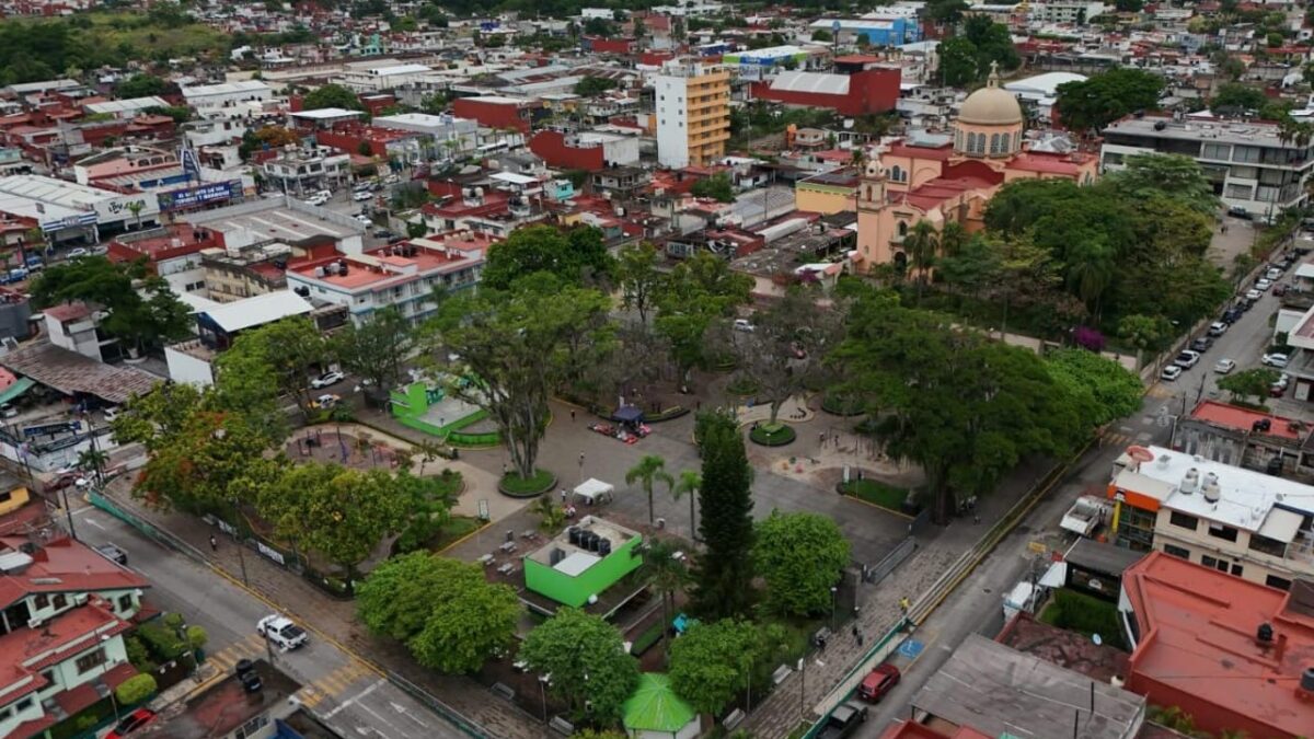 Para prevenir accidentes y proteger a la población realizarán el retiro de 1 árbol seco y la poda sanitaria de otros en el parque de San José