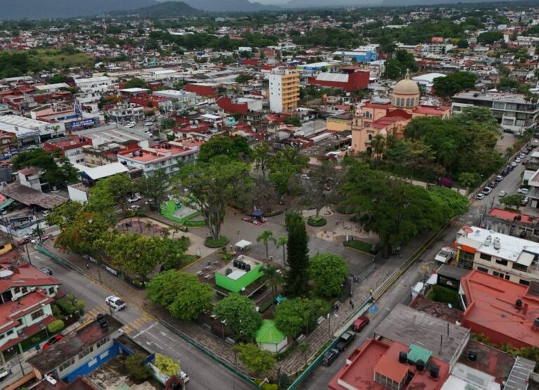 Para prevenir accidentes y proteger a la población realizarán el retiro de 1 árbol seco y la poda sanitaria de otros en el parque de San José