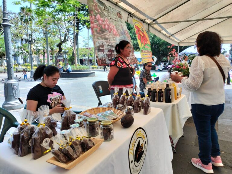 Realizan colecta de plásticos y Mercadito por el Día Mundial del Medio Ambiente