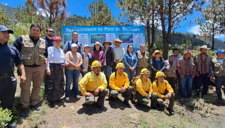 Arranca reforestación del Parque Nacional Pico de Orizaba