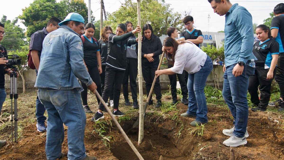 Se siembran árboles en Boulevard Tratados de Córdoba