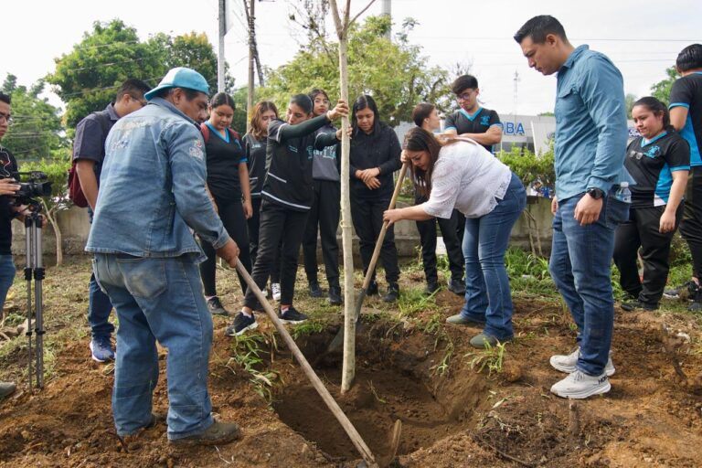 Se siembran árboles en Boulevard Tratados de Córdoba