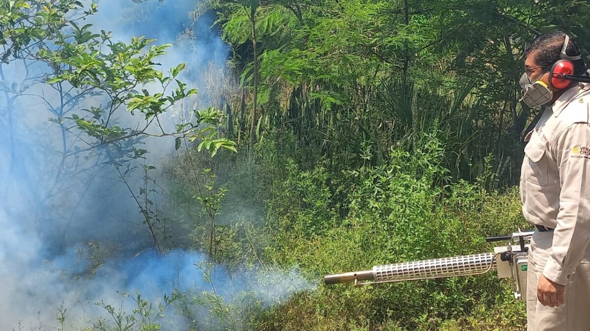 Actividad Preventiva contra Criaderos de Mosco del Dengue en el EcoParque 20 de Noviembre