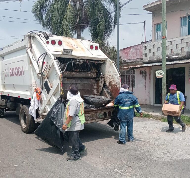 Continúa saneamiento en el Centro de Transferencia en la colonia Paraíso