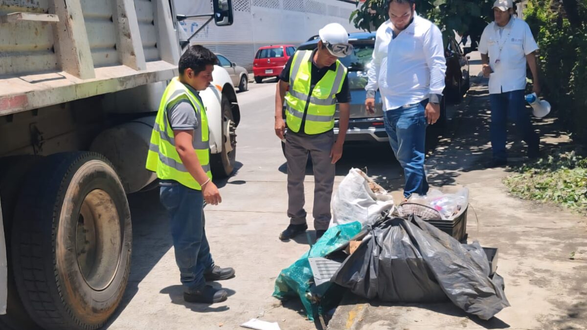 Arranca Jornada de Eliminación Masiva, Prevención y Control de Criaderos de Arbovirosis
