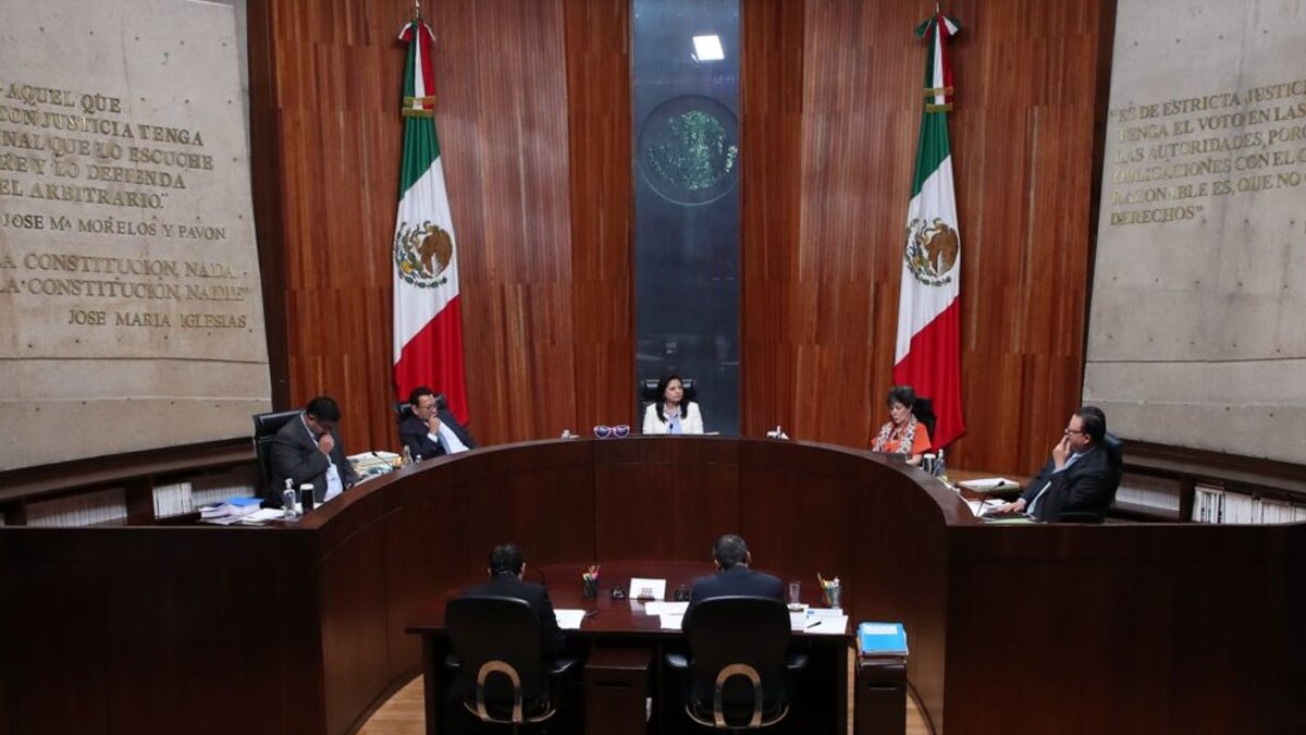 Tribunal Electoral rescata a candidatos ‘reprobados’ por el INE por bajas calificaciones