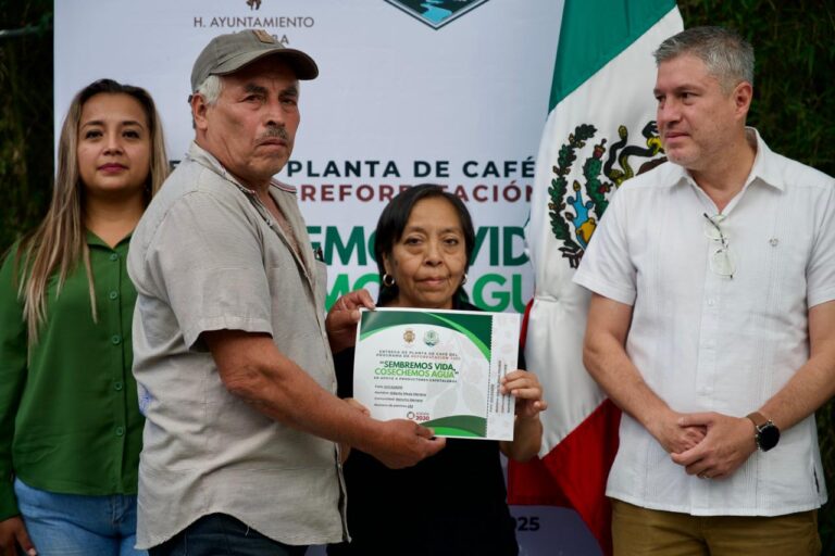 Entregan 33 mil plantas de café a productores de la Sierra del Gallego de Córdoba