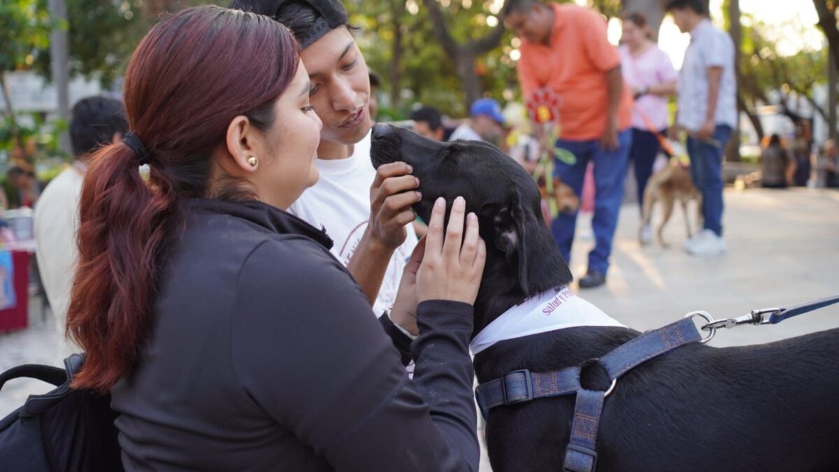 FOMENTA AYUNTAMIENTO DE VERACRUZ LA ADOPCIÓN DE MASCOTAS