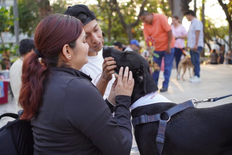 FOMENTA AYUNTAMIENTO DE VERACRUZ LA ADOPCIÓN DE MASCOTAS