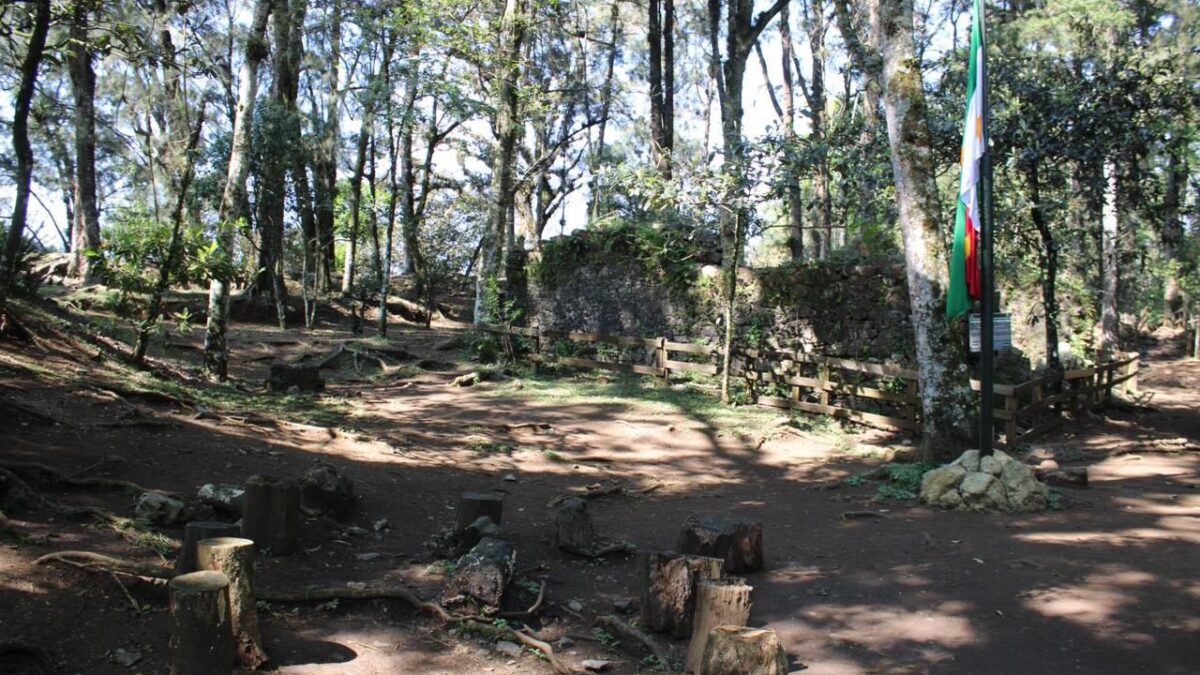 Orizaba activa sus planes preventivos contra incendios forestales
