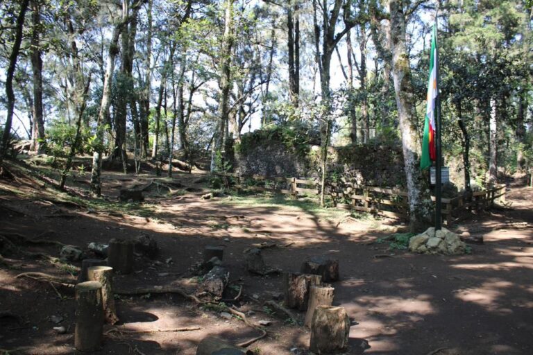 Orizaba activa sus planes preventivos contra incendios forestales