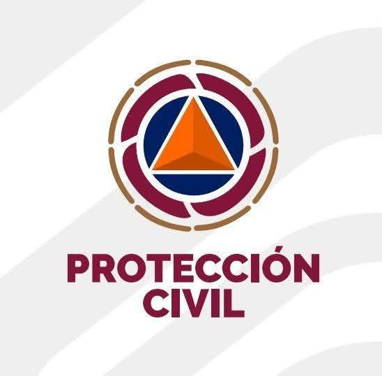 EL AYUNTAMIENTO DE XALAPA PIDIÓ A LOS DUEÑOS DE PREDIOS CON ÁRBOLES RESERVAR LAS CONDICIONES DE SEGURIDAD