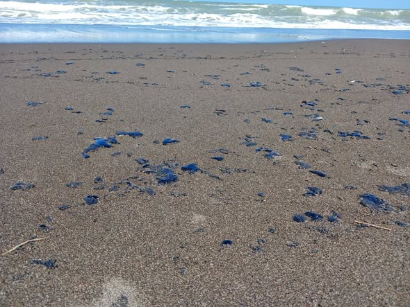 Golpe a los pescadores, por presencia de chapopote en playas