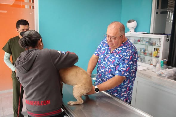 Exitosa jornada de vacunación antirrábica en la clínica Mascori