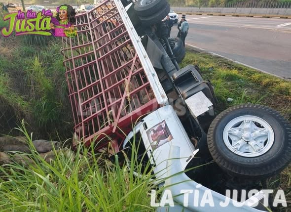CAMIÓN CARGADO CON CERDITOS VUELCA EN TRÉBOL DE AMATLÁN