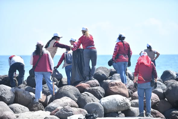 Limpian playa Mocambo, Sedema encabeza brigada