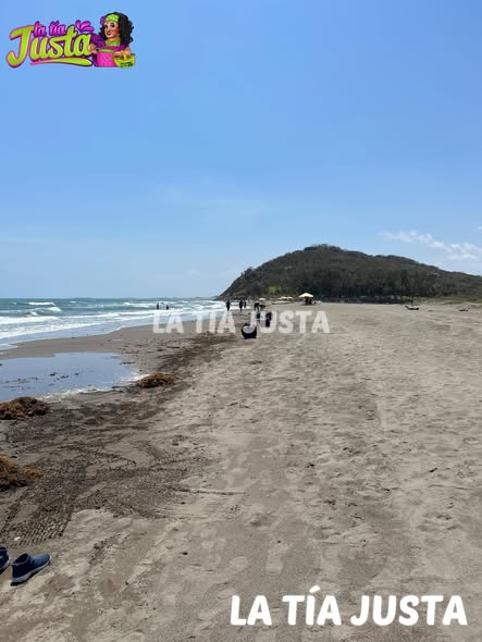 PLAYAS IMPECABLES EN LA MANCHA: SIN CHAPOPOTE Y LISTO EL FESTIVAL DE AVES PARA ESTE SÁBADO