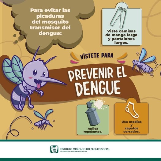 EXHORTA IMSS VERACRUZ SUR A PREVENIR DENGUE Y FORTALECER MEDIDAS PREVENTIVAS