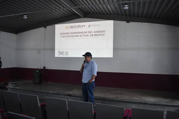 ZONGOLICA REFUERZA VIGILANCIA Y PREVENCIÓN ANTE EL GUSANO BARRENADOR PARA PROTEGR AL CAMPO Y A LA POBLACIÓN
