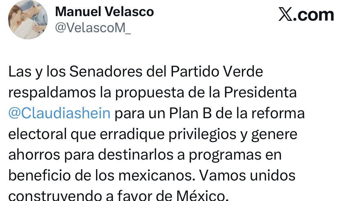 Senadores del Partido Verde confirman respaldo al Plan B de la reforma electoral