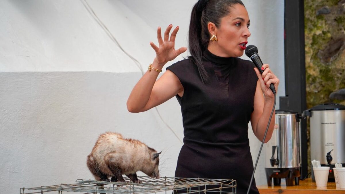 Realiza Córdoba Foro integral sobre el manejo y conservación del tlacuache